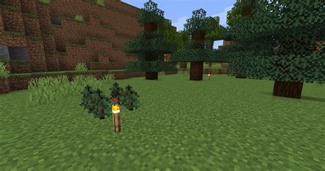 spruce tree minecraft|spruce tree not growing minecraft.